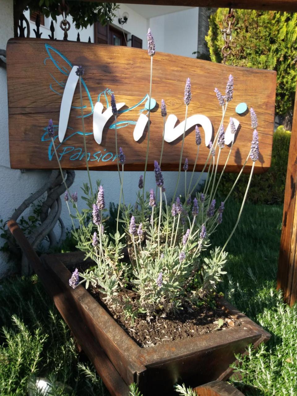 Pansion Irini Apartment Ouranoupoli Luaran gambar